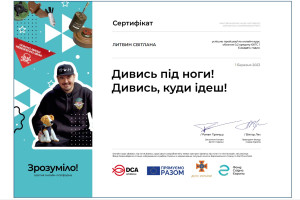 Сертифікат Литвин С.В.